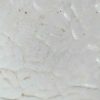 Pair of Heritage embossed stained glass timber casement windows. - Image 2
